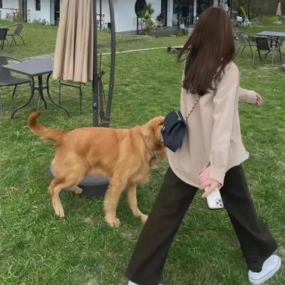菜鸟老板来上工