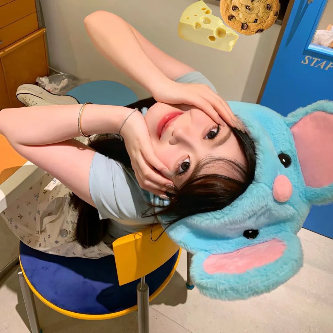 真情不眠